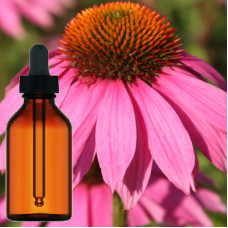 Echinacea Liquid Extract