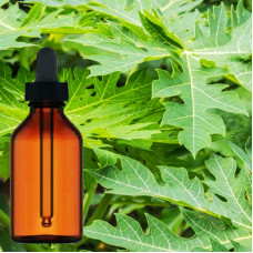 Papaya Leaf Liquid Extract 