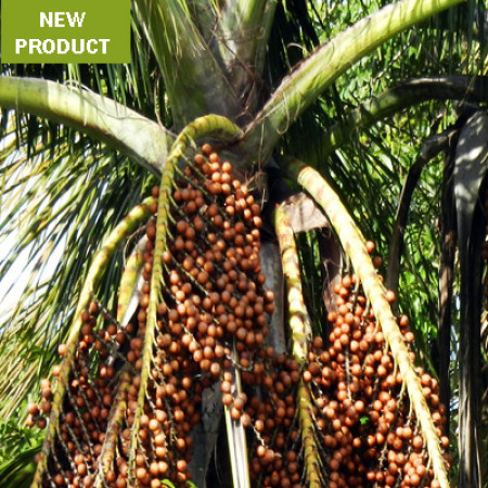 Buriti Oil Virgin