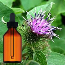 Burdock Root Tincture