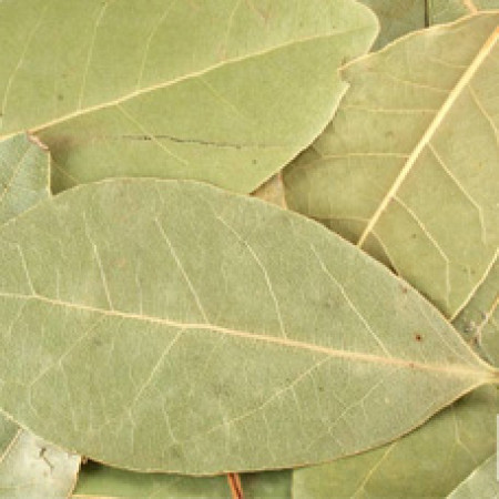 Bay Leaf Whole