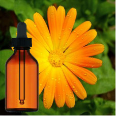 Calendula Liquid Extract 