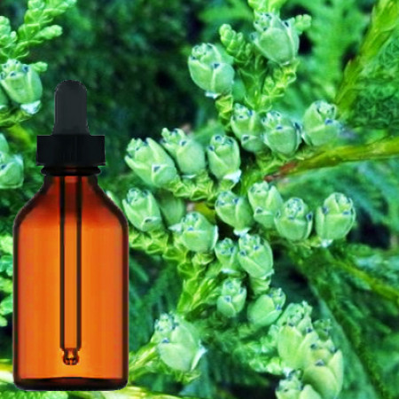 Thuja Leafs Liquid Extract