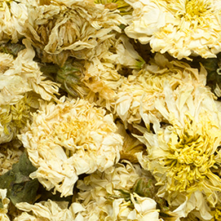 CHRYSANTHEMUM FLOWER WHOLE