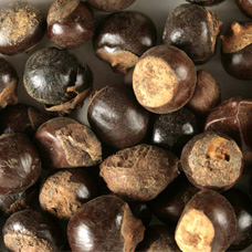 GUARANA SEED WHOLE