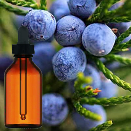 Juniper Berry Liquid Extract