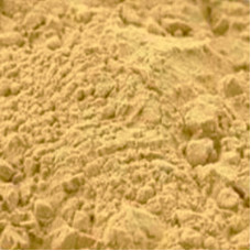 KATUJA POWDER (BITTER OLEANDER)