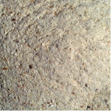 MUSLI SAFED (WHITE) POWDER