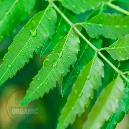 Neem Oil Water Soluble