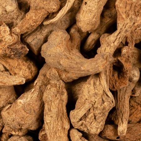 Notoginseng Panax Root Whole