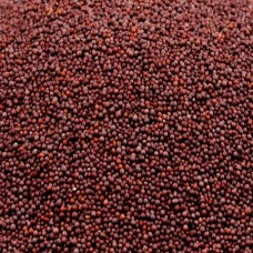 RAI SEEDS WHOLE