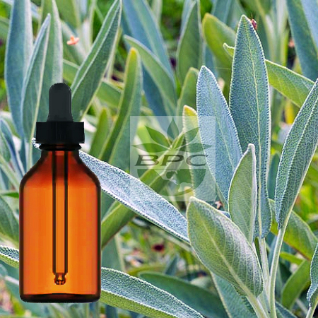 White Sage Tincture