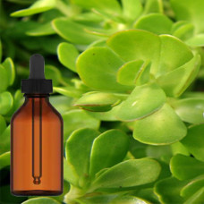 Brahmi Tincture