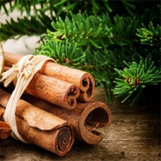 Cinnamon Essential Oil ORGANIC