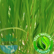 Citronella Essential Oil Organic