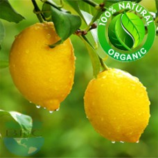 Lemon Essential Oil Organic