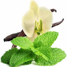 Minty Vanilla Fragrance Oil