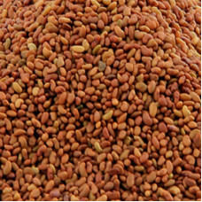 ASALIA SEED WHOLE