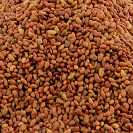 ALFALFA SEED WHOLE