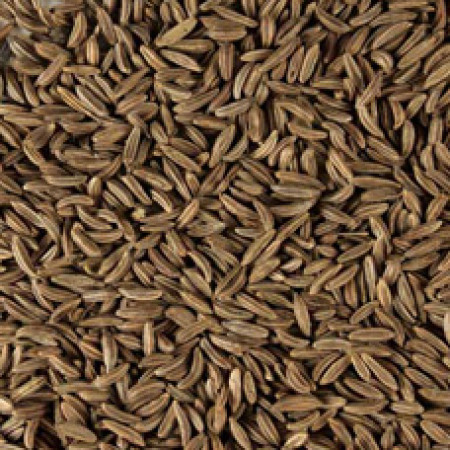 CARAWAY SEED POWDER