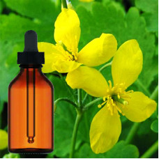 Celandine Herbal Tincture