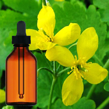 Celandine Herbal Tincture