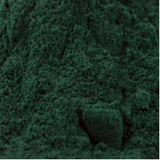 CHLORELLA POWDER