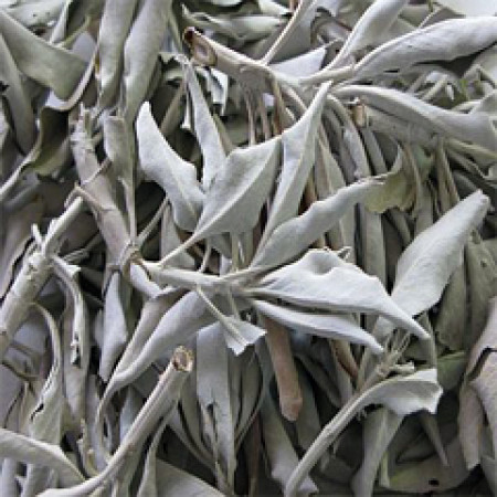 SAGE LEAVES WHOLE