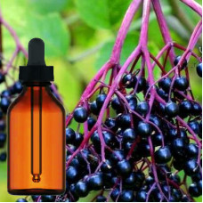 Elderberry Liquid Extract 