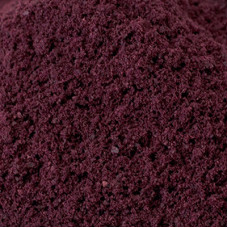 Elder Berry Powder