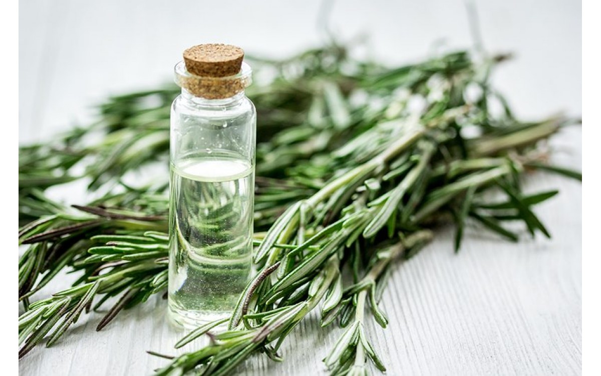 How To Rejuvenate With Rosemary Essential Oil?