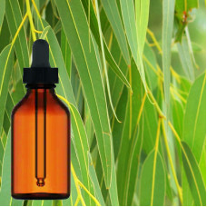 Eucalyptus Herbal Tincture