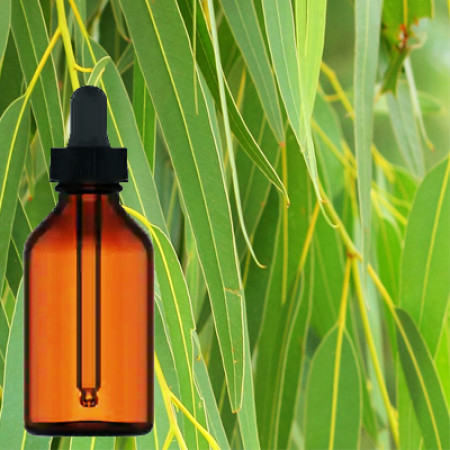 Eucalyptus Herbal Tincture