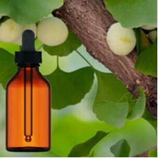 Ginkgo Biloba Leaf Tincture