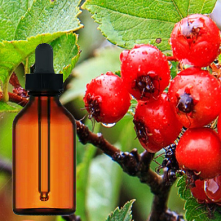 Hawthorn Berry Liquid Extract