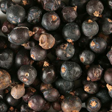 JUNIPER BERRIES WHOLE