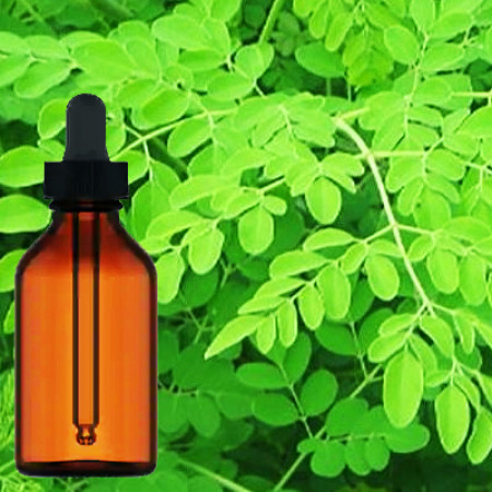 Moringa Leaves Liquid Extract