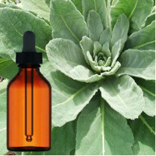 Mullein Leaf Liquid Extract