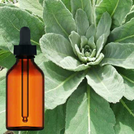 Mullein Leaf Liquid Extract