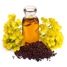 Mustard Seed Oil Virgin 