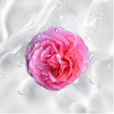 Rose Water Gel