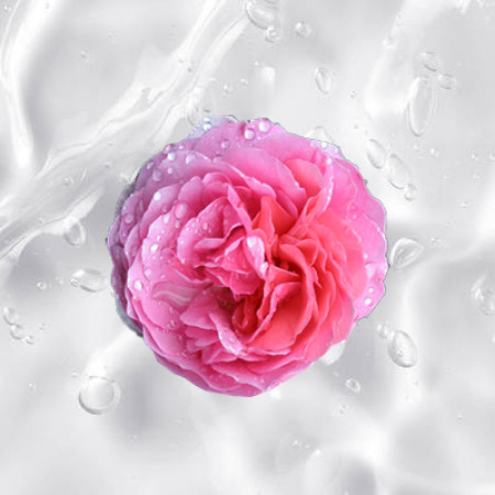 Rose Water Gel