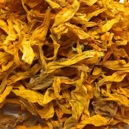 SUNFLOWER PETALS