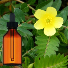 Terrestris Tribulus Liquid Extract 