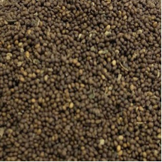 TULSI SEED WHOLE