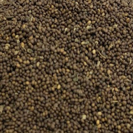 TULSI SEED WHOLE