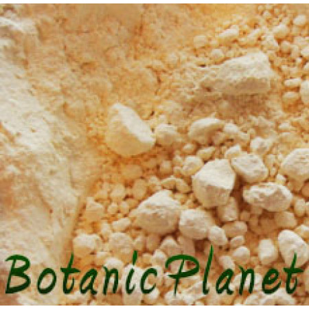 Chick Pea (Gram Flour) Powder