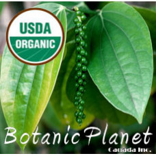 Pepper Black Essential Oil (ORGANIC)