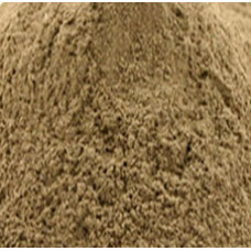 ECHINECEA ANGUSTIFOLIA ROOT POWDER