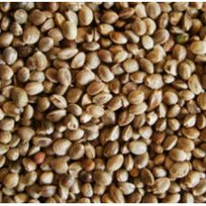 HEMP SEED WHOLE